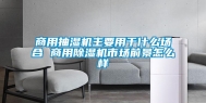商用抽湿机主要用于什么场合 商用除湿机市场前景怎么样