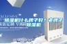 除湿机什么牌子好？老牌子除湿机