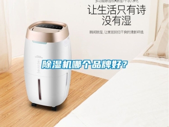企业新闻除湿机哪个品牌好？