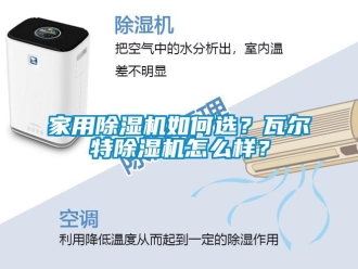 常见问题家用除湿机如何选？瓦尔特除湿机怎么样？