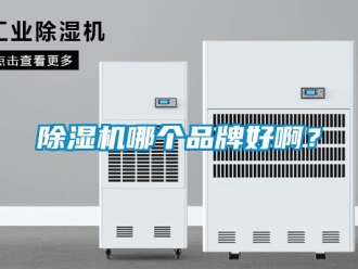 常见问题除湿机哪个品牌好啊？