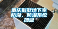 重庆别墅地下室防潮、防湿系统加盟