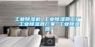 工业除湿机 工业除湿器工厂 工业除湿器厂家 工业除湿器