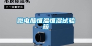 微电脑恒温恒湿试验箱