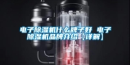 电子除湿机什么牌子好 电子除湿机品牌介绍【详解】