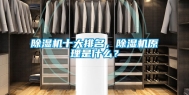 除湿机十大排名，除湿机原理是什么？
