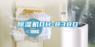 除湿机DH-838D