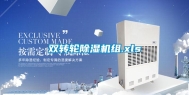 双转轮除湿机组.xls
