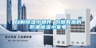 自制除湿小物件 创意有趣的防潮除湿小家电