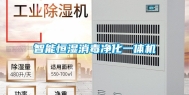 智能恒湿消毒净化一体机