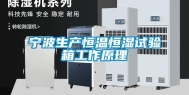 宁波生产恒温恒湿试验箱工作原理