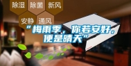 “梅雨季，你若安好，便是晴天”