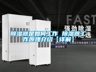 行业新闻除湿器是如何工作 除湿器工作原理介绍【详解】