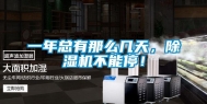 一年总有那么几天，除湿机不能停！