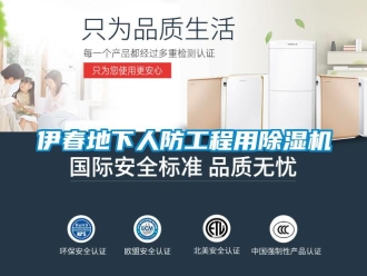 行业新闻伊春地下人防工程用除湿机