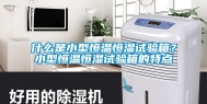 什么是小型恒温恒湿试验箱？小型恒温恒湿试验箱的特点