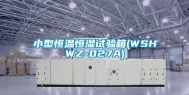 小型恒温恒湿试验箱(WSHWZ-027A)