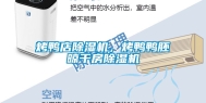 烤鸭店除湿机，烤鸭鸭胚晾干房除湿机