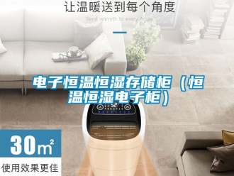 知识百科电子恒温恒湿存储柜（恒温恒湿电子柜）