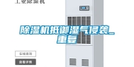 除湿机抵御湿气侵袭_重复