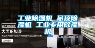工业除湿机 吊顶除湿机 工业专用除湿机