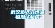 武汉步入式恒温恒湿试验房