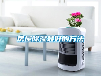 企业新闻房屋除湿最好的方法