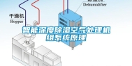 智能深度除湿空气处理机组系统原理
