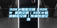 30KW精密空调｜30KW 机房空调｜30KW机房精密空调｜恒温恒湿空调