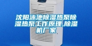 沈阳泳池除湿热泵除湿热泵工作原理,除湿机厂家