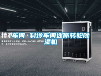 常见问题车间 制冷车间迷你转轮除湿机