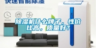 除湿机什么牌子，性价比高，质量好？
