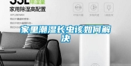 家里潮湿长虫该如何解决