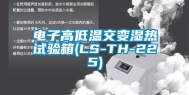 电子高低温交变湿热试验箱(LS-TH-225)