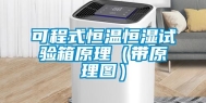 可程式恒温恒湿试验箱原理（带原理图）