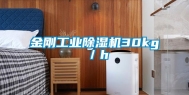 金刚工业除湿机30kg／h