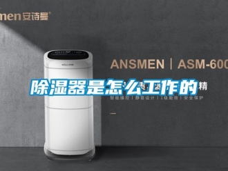 行业新闻除湿器是怎么工作的