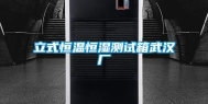 立式恒温恒湿测试箱武汉厂