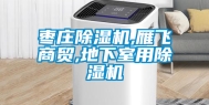 枣庄除湿机,雁飞商贸,地下室用除湿机