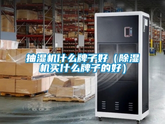 企业新闻抽湿机什么牌子好（除湿机买什么牌子的好）