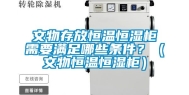 文物存放恒温恒湿柜需要满足哪些条件？（文物恒温恒湿柜）