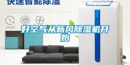 好空气从新风除湿机开始