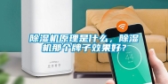 除湿机原理是什么，除湿机那个牌子效果好？