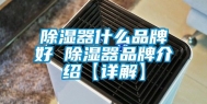 除湿器什么品牌好 除湿器品牌介绍【详解】