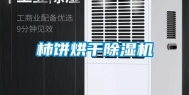 柿饼烘干除湿机