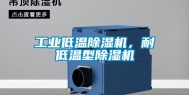 工业低温除湿机，耐低温型除湿机