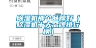 除湿机那个品牌好（除湿机十大品牌排行榜）