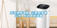 游泳馆除湿机 云南除湿机公司 大功率除湿机