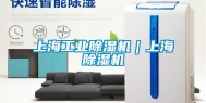 上海工业除湿机｜上海除湿机