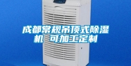 成都常规吊顶式除湿机 可加工定制